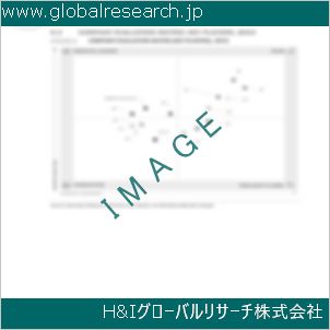 グローバルリサーチ調査資料のイメージ